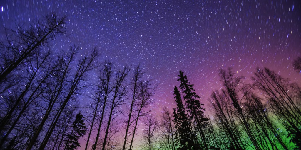 Northern Lights with forest - image from www.huffingtonpost.ca