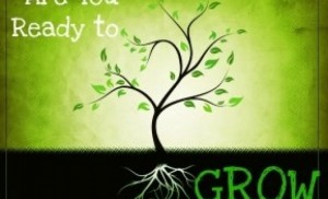 Image from savymama.com